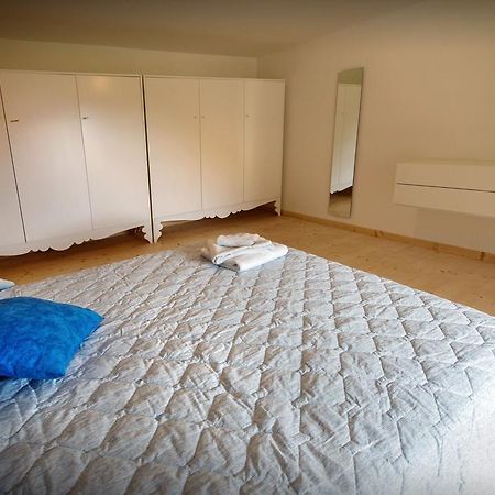 La Marmote Albergo Diffuso Di Paluzza Aip المظهر الخارجي الصورة
